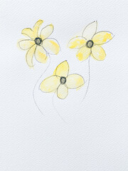 Real Aquarelle Paint Flowers on Textured Paper