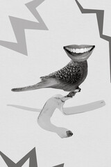 Composite photo collage of nature fauna flying green parrot budgerigar headless open mouth talking...