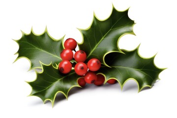 Holly with Berries Christmas Decoration. Clipping Path Included for Festive Holly Ornament, Framed with Lush Leaves and Vibrant Berries