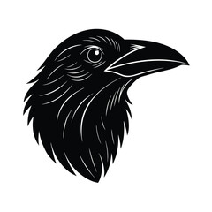 Obraz premium eagle head isolated on white