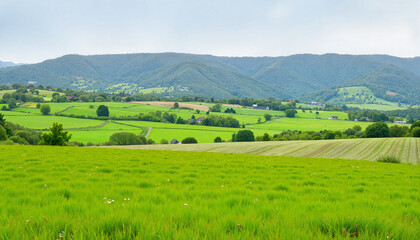 Obraz premium Lush green agricultural landscape with rolling hills, sustainable farming