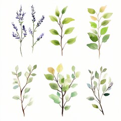 Fototapeta premium Watercolor clipart of branches and twigs