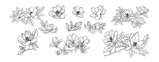 Magnolia flower arrangement line art on white background. Silhouette magnolia botanical hand drawn element for wedding, invitation frame design, vector illustration