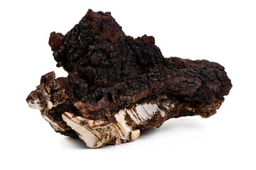 Chaga Mushroom Isolated on White Background.