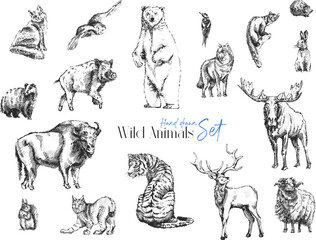 Hand-Drawn Wild Animals Set vector