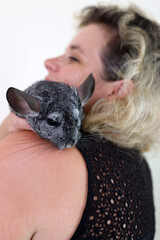People care for and play with chinchillas.