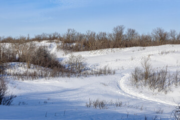 Nature Trail at Pike Lake Provincial Park in Winter.