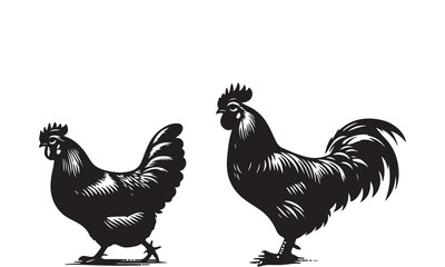 cock and rooster vector and silhouette.