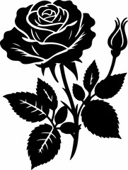 Captivating Rose Flowers: The Timeless Beauty of Nature's Velvet Blooms  Roze flowers, also known as Rosa roze or Rózsa, are a rare and exotic variety of roses known for their vibrant colors and intox © MOHAMMAD