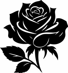 Captivating Rose Flowers: The Timeless Beauty of Nature's Velvet Blooms  Roze flowers, also known as Rosa roze or Rózsa, are a rare and exotic variety of roses known for their vibrant colors and intox © MOHAMMAD