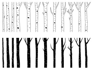 Cartoon Birch Tree Forest Clipart, Isolated Tree Asset Elements on a Transparent Background - Outline and Silhouette
