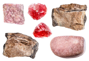 various samples of raw rhodonite minerals isolated