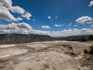 Barren Ground around the Mammoth Springs area in Yellowstone National Park