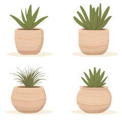 Fototapeta premium Illustration vector set of Plant in flowerpot in flat style