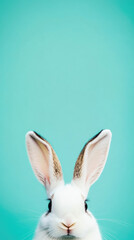 Obraz premium Easter bunny peeking over bright turquoise spring background