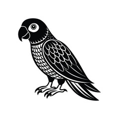a cute parrot bird vector illustration