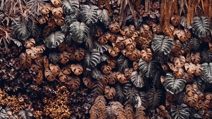 Close-up background of vibrant green leaves with rich textures, creating a bright and fresh natural atmosphere with an exotic botanical pattern.