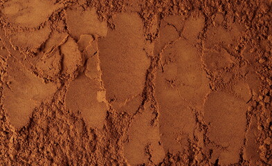 Clove powder background and texture, top view