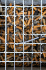 Metal Grid Covering a Collection of Discarded Cigarette Butts in an Outdoor Public Space