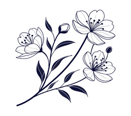 One line art drawing vector Set of botanical line art abstract flowers.Hand drawn sketch floral leaves isolated on white background.