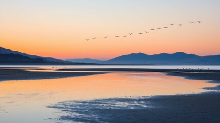Obraz premium Serene Sunset Over Tranquil Beach with Flying Birds in Background
