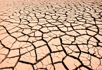 Dry soil texture background