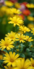 Bright yellow flowers blooming in a vibrant garden during springtime showcasing nature's beauty and color