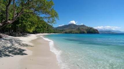 Serene Tropical Beach with Clear Water and Lush Green Landscape