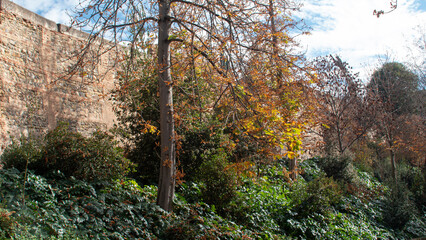 Garden around the wall of the Alhambra in Granada