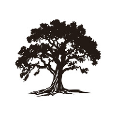 Fototapeta premium A minimalist and elegant oak tree logo, symbolizing strength, stability, and longevity. This vector illustration features a detailed oak tree with spreading branches and deep roots, making it perfect 