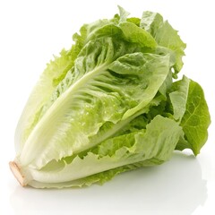 Lettuce