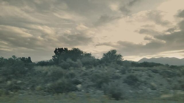 Car point of view fast camera motion video showing landscape of gallery forest and nahuel huapi lake, rio negro province, patagonia, argentina
