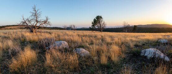 Stunning mountain landscape with beautiful trees, green grass, and rocky terrain during a breathtaking sunset, showcasing nature's beauty and vibrant colors in a tranquil outdoor setting