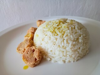 Rice with soy meat 
