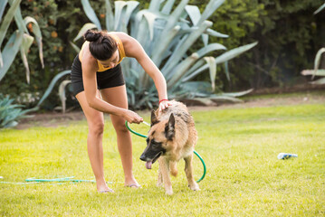 Fototapete bei efototapeten.de bestellen   