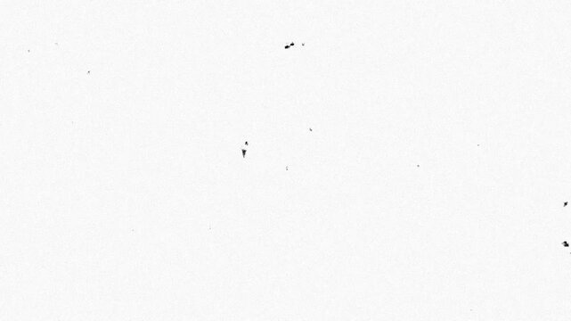 Vintage film scan with dust and noise texture