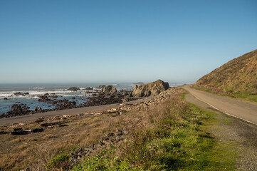 Fototapeta premium Road and scenery at California's Lost Coast. 