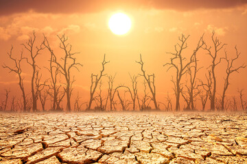 Desolate Landscape: A dramatic landscape depicting the harsh reality of drought. Cracked earth...