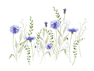Watercolor floral horizontal border. Meadow blue cornflowers, forget-me-not wild flowers, green branches, leaves, herbs. Hand drawn style illustration. Artistic template design.