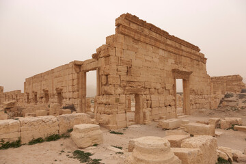 Fototapeta premium Syria Palmyra view on a cloudy spring day