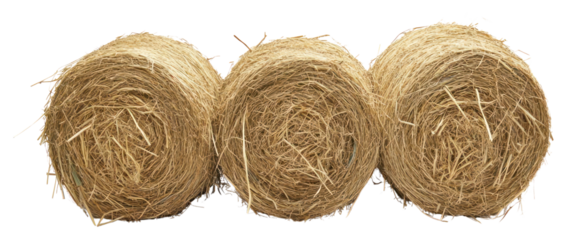 PNG Bales of hay countryside background isolated.
