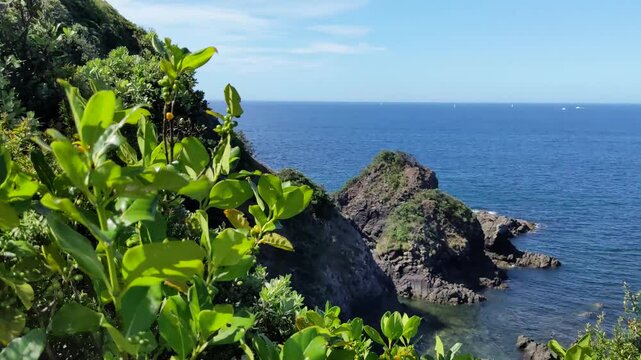 Matapouri Bay New Zealand Pan Right To Beautiful View Of Ocean