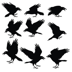Obraz premium A collection of black silhouettes of crows in different flying and resting poses