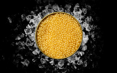 Tin of Caviar Albino on ice on black background