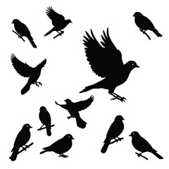 Obraz premium This image showcases a collection of black silhouettes of birds in different poses, including some in flight and others perched on branches