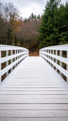 Obraz premium Tranquil wooden bridge leading to nature's embrace serene forest pathway landscape photography calm environment ground view