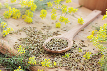 Fennel seed in wooden spoon on kitchen background with fresh flowers nearby, copy space, natural medicine, drink for breast milk production, sleep and stress care concept