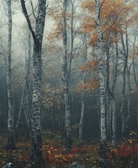 Obraz premium Autumn hues fill the foggy forest with vibrant colors