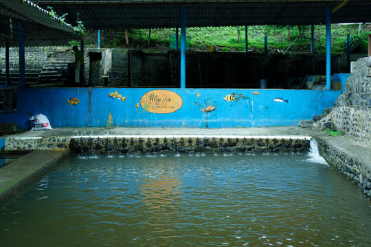 Jard&iacute;n, Jardin, Antioquia, Colombia,08 04 2024 : Trout farming, truchera and restaurant La Argelia.