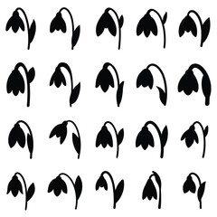 Flowers vector silhouette illustration